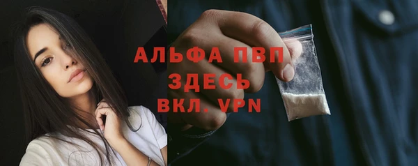 ПСИЛОЦИБИНОВЫЕ ГРИБЫ Михайлов
