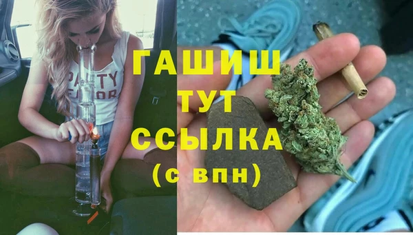 дживик Бородино