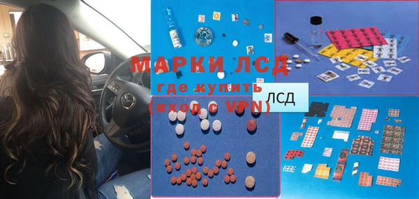 ПСИЛОЦИБИНОВЫЕ ГРИБЫ Михайлов