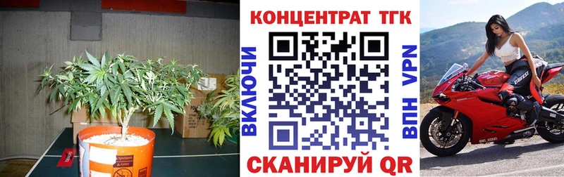 Дистиллят ТГК концентрат  нарко площадка какой сайт  Великий Новгород 