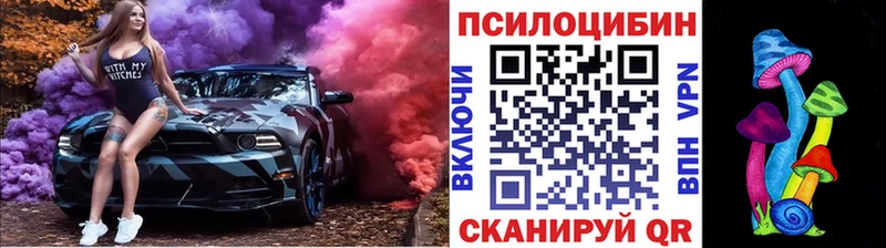 Галлюциногенные грибы MAGIC MUSHROOMS  купить  цена  Великий Новгород 